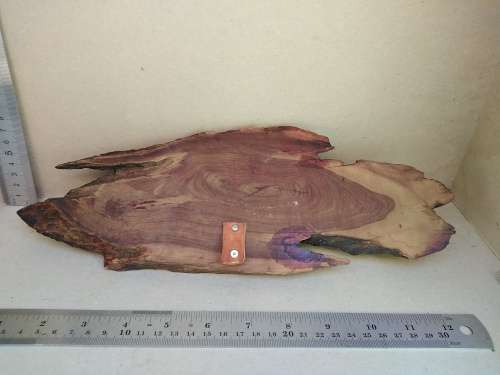 Live Edge - Beautiful One-Off Solid Wood Section Key Holder