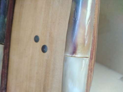 Vintage! Pair Of Horn Photo Frames