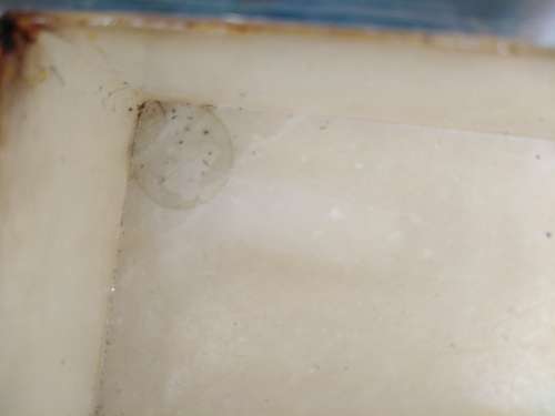 Vintage! Hand Made in Italy - Genuine Alabaster Marble - Rectangular Floral Trinket Box