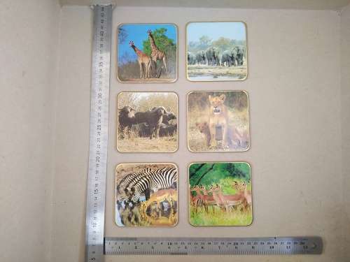 Animals Of Africa - Set Of Six Coasters With Cork Backing