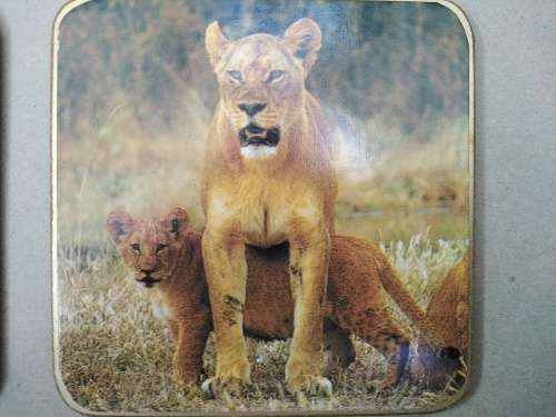 Animals Of Africa - Set Of Six Coasters With Cork Backing