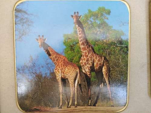 Animals Of Africa - Set Of Six Coasters With Cork Backing