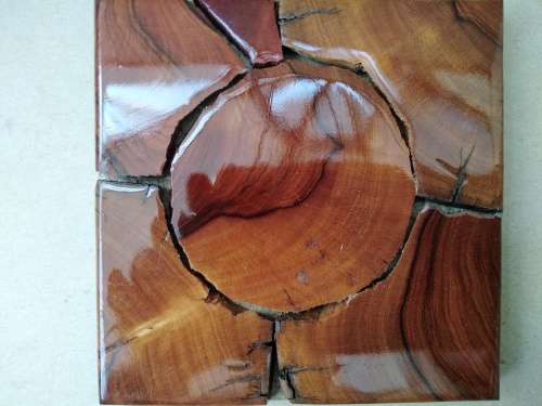 Vintage Weatherwoods SA Live Edge Wooden Slice Mosaic Set of 6 Square Coasters Trivets