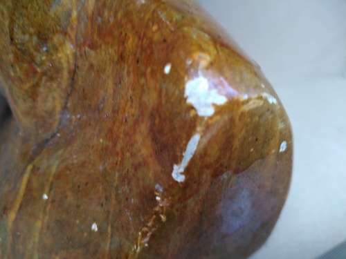Hand-Carved! African Varnished Stone Bust - Middle Aged Man Sculpture