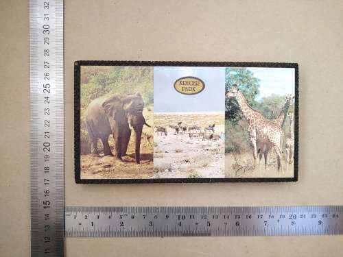 Vintage! Kruger Park - Wooden Coloured Pencils Holder (Empty)