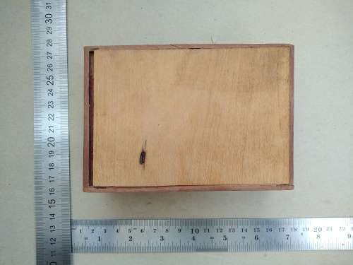 Vintage! Hand Made  - Marquetry Box, Wood Inlay Trinket Box, Tropical Design