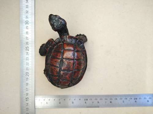 Vintage!  Fung Shui - Hand Carved - Heavy High Quality Resin Statue - Realistic Tortoise