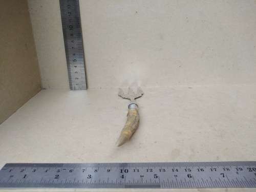Antique! Kay & Co. - Worchester - Horn Handled Silver Plated - Victorian Bread Fork