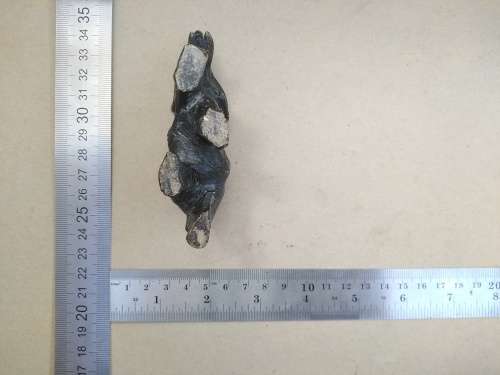 Africana! Hand Carved Stone - Small Elephant