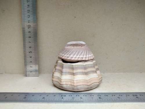 Vintage! Banded Ironstone - Hand Carved - Round Scalloped - Lidded Trinket Box