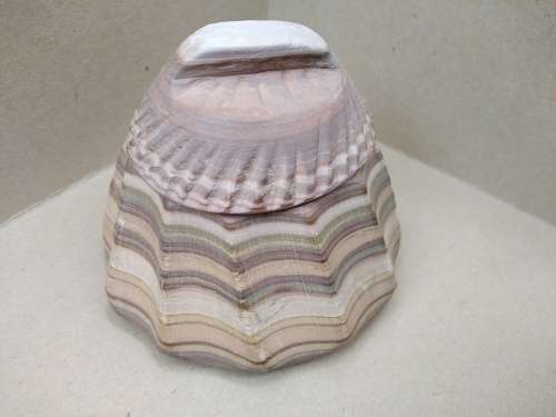 Vintage! Banded Ironstone - Hand Carved - Round Scalloped - Lidded Trinket Box