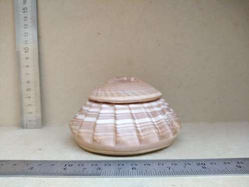 Vintage! Banded Ironstone - Hand Carved - Round Scalloped - Lidded Trinket Box