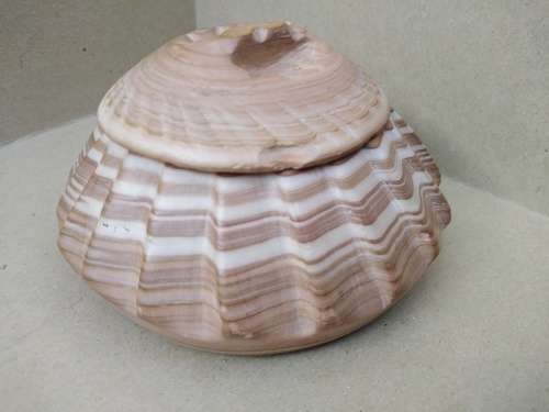 Vintage! Banded Ironstone - Hand Carved - Round Scalloped - Lidded Trinket Box