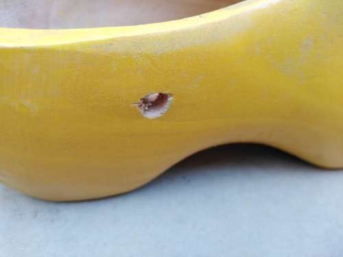 Vintage! Pair Of Large Dutch Windmill Wooden Clogs - Holland