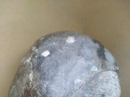 Africana!  Hand Carved - Soapstone Bust - Woman In Head Scarf