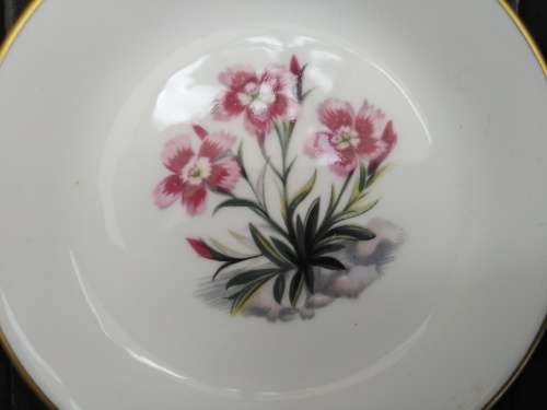 Vintage! England - Royal Worcester -  Bone China - Small Pin Dish With Flowers (In original Box)