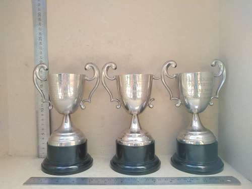 Vintage! Silver Plated - Prestige Awards - Classic Trophy Cups (Engraved)