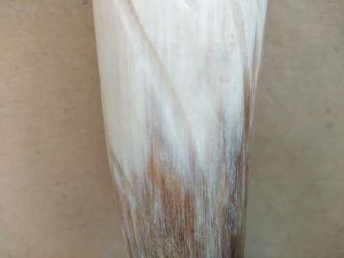 Vintage! Natural Cow Horn - Hand Carved - Bird Figurine - Pen Holder