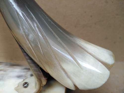 Vintage! Natural Cow Horn - Hand Carved - Bird Figurine - Pen Holder