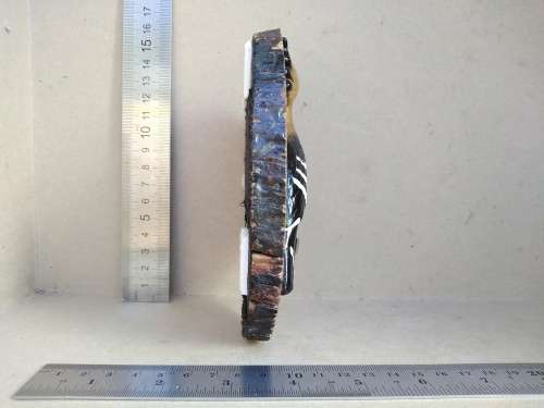Vintage!  Live Edge - Knysna - African Hoopoe - Key Holder