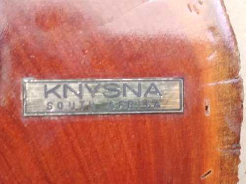 Vintage!  Live Edge - Knysna - African Hoopoe - Key Holder