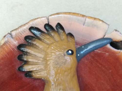 Vintage!  Live Edge - Knysna - African Hoopoe - Key Holder