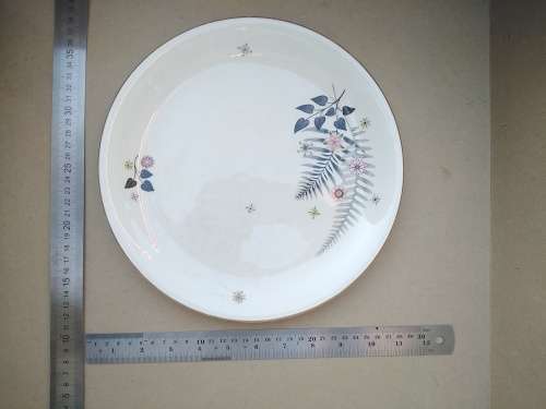 Vintage! England - 1960 British Anchor Atomic Floral Dinner Plate