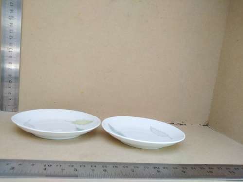 Vintage! Germany - Rosenthal - Bunte Blatter - Set Of Two Sauce Bowls
