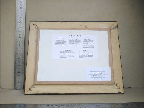 African! Wall Décor - Box Frame - Africa Alive - Big 5 Miniature Heads In Bronze - White