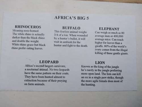 African! Wall Décor - Box Frame - Africa Alive - Big 5 Miniature Heads In Bronze