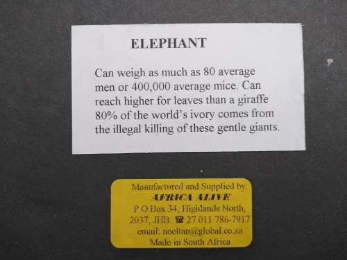 African! Wall Décor - Box Frame - Africa Alive - Elephants In Bronze