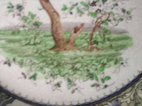 Vintage! Royal Doulton Pekin Oriental Golden Pheasant 25.5cm 12 Sided Plate