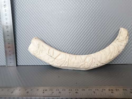 Africana! Hand Carved - Warthog Tusk - Elephants Marching - 29cm