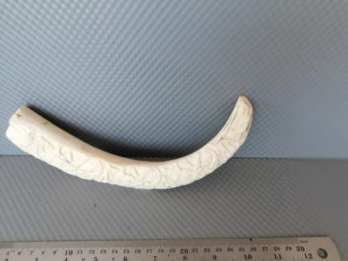 Africana! Hand Carved - Warthog Tusk - Elephants Marching - 29cm