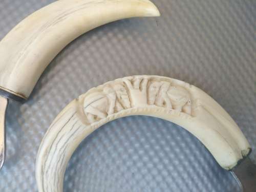 Vintage! Pair Of African Warthog Tusk Bottle Openers