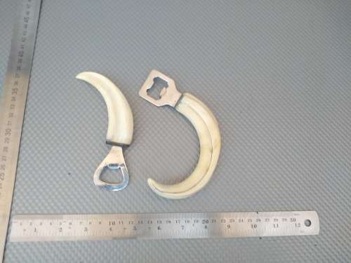 Vintage! Pair Of African Warthog Tusk Bottle Openers