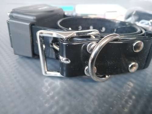CANICOM 200 FIRST REMOTE TRAINING COLLAR