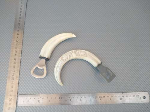 Vintage! Pair Of African Warthog Tusk Bottle Openers