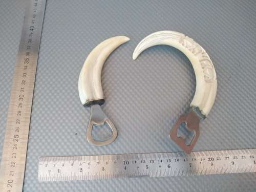 Vintage! Pair Of African Warthog Tusk Bottle Openers