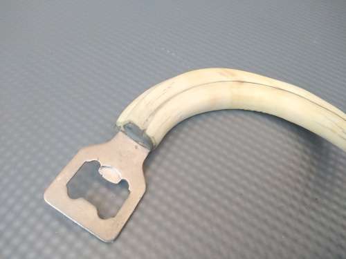 Vintage! Pair Of African Warthog Tusk Bottle Openers