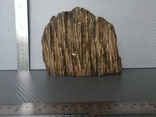 Africana! - Resin / Stone Composite - Hyper-Realistic - Rhino