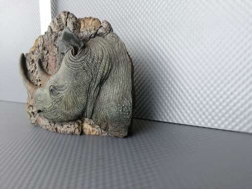 Africana! - Resin / Stone Composite - Hyper-Realistic - Rhino