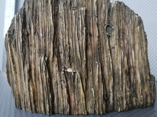 Africana! - Resin / Stone Composite - Hyper-Realistic - Rhino