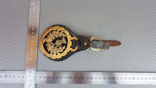 Vintage! Equestrian - Horse Harness - Brass Medallions On Leather Base -  Scottish Thistle