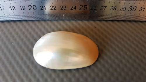 Stunning ! * Natural Mother Of Pearl *  Cabochon - Oval Shape - Flat Back