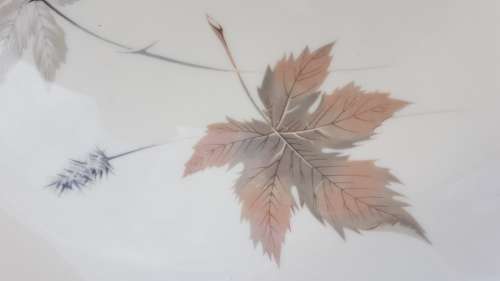 Vintage! Royal Doulton - English Translucent China - Tubling Leaves - 20 piece part service