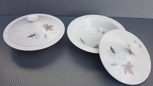 Vintage! Royal Doulton - English Translucent China - Tubling Leaves - 20 piece part service