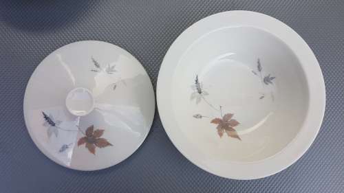 Vintage! Royal Doulton - English Translucent China - Tubling Leaves - 20 piece part service
