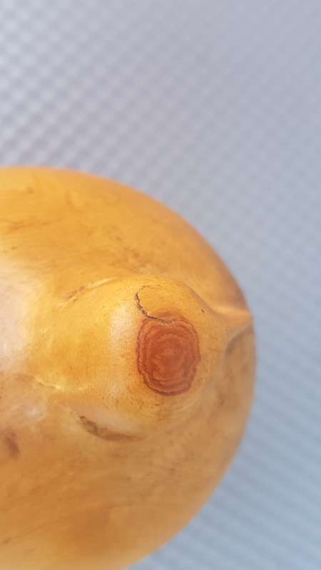 Vintage! Folk Art - Hand Carved - Wooden - Dove Bird