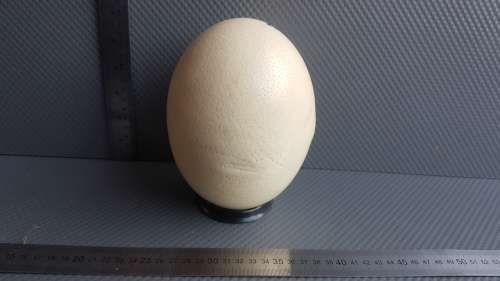 Vintage! Painted Ostrich Egg With Stand - Oudtshoorn South Africa.